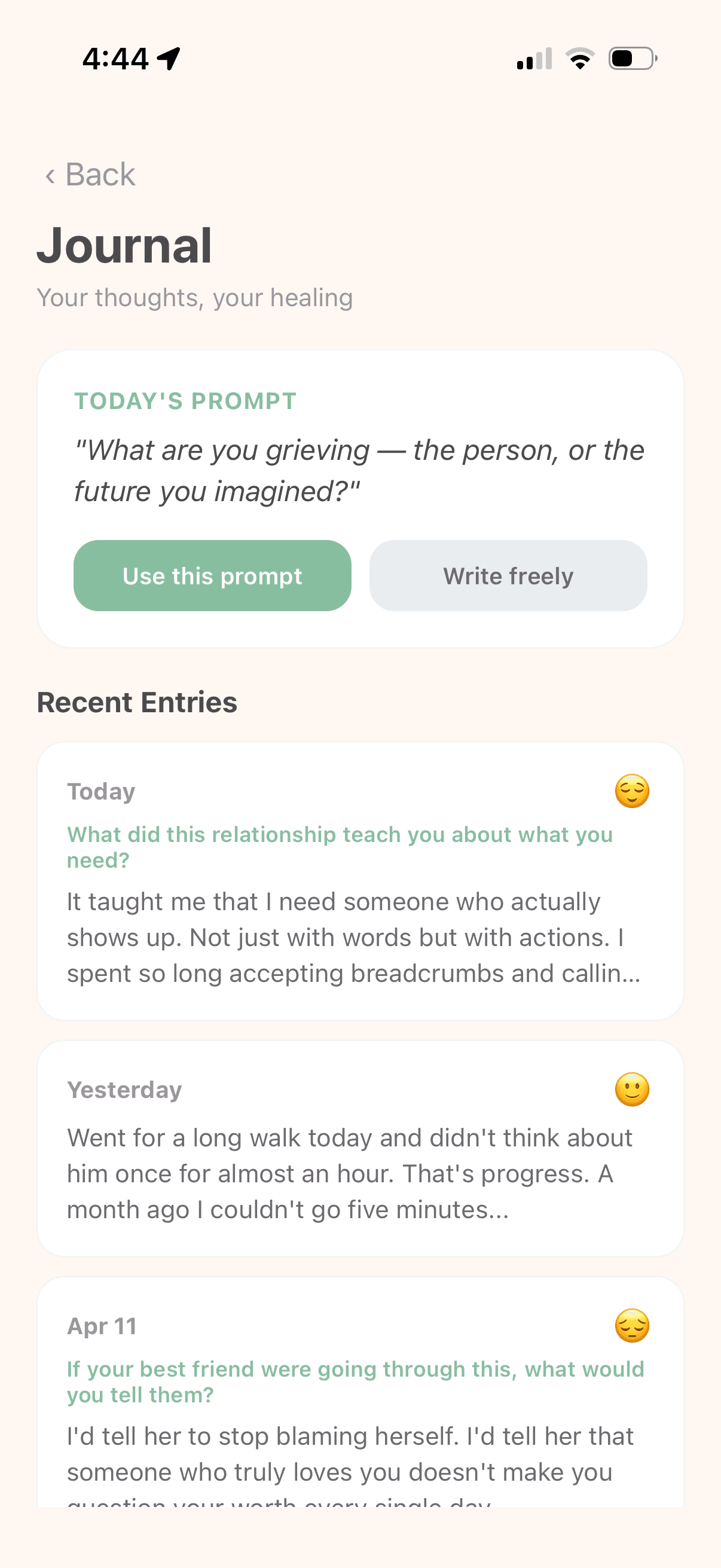Journal screen in Palo